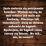 Toster