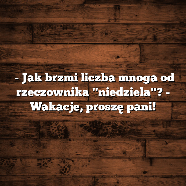 Wakacje