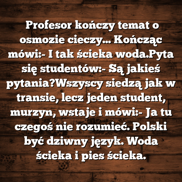 Ściekający Pies